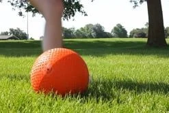 Rainbow Utility Balls -goher sport shop 955739586 b5e28fe48feb5b4bc44b9752821fce5627b827d1972271238b8f28f9071efce1 d 295x166